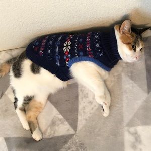 Cat sweaters